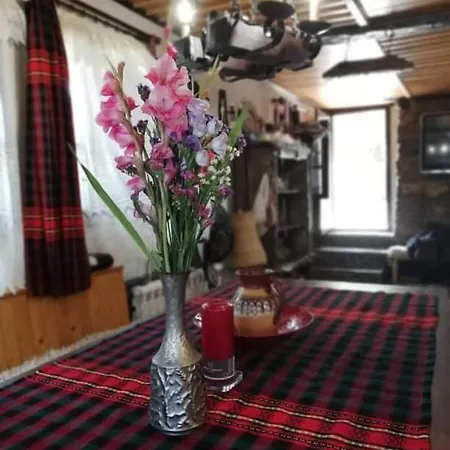 Villa Yana Goljama Zseljazna